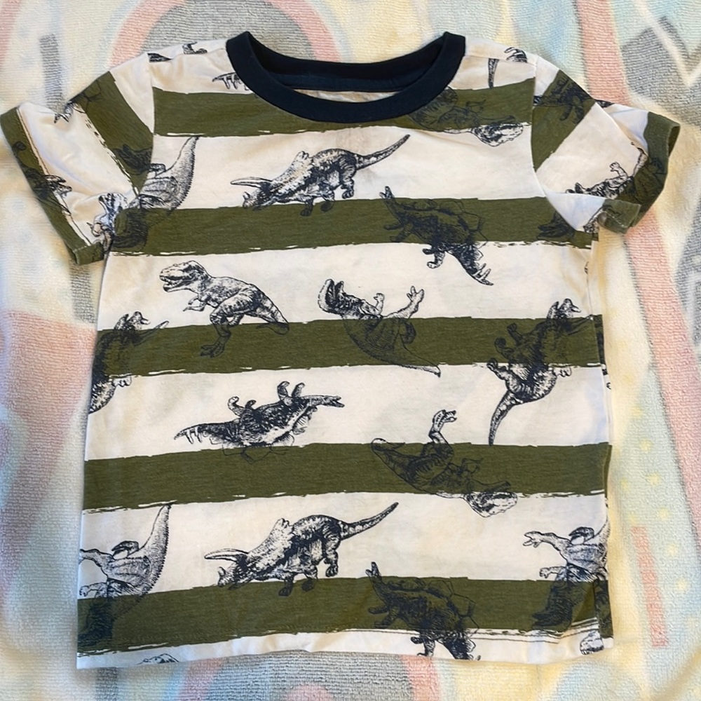 Boys dinosaur tshirt